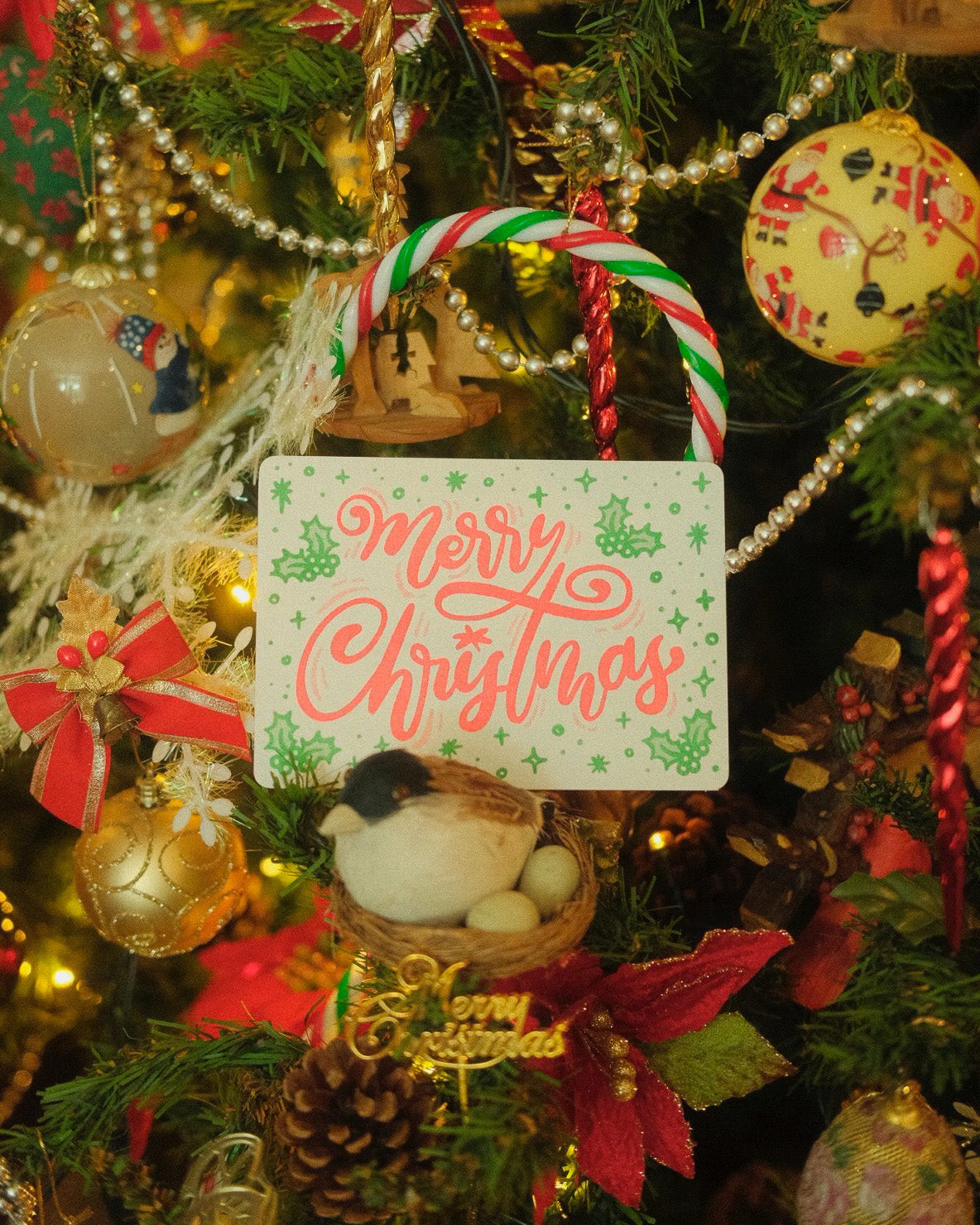Merry Christmas Postcard
