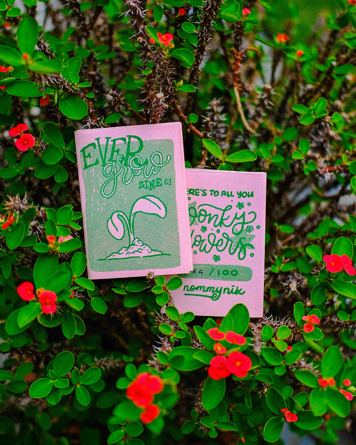 Evergrow Zine 01