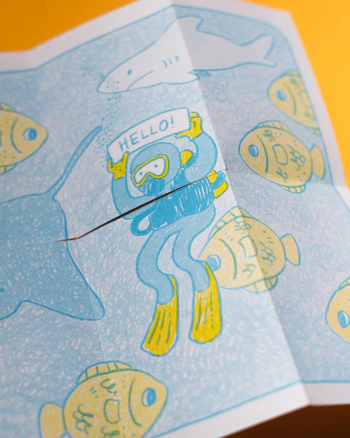 A Field Trip to the Oceanarium Zine
